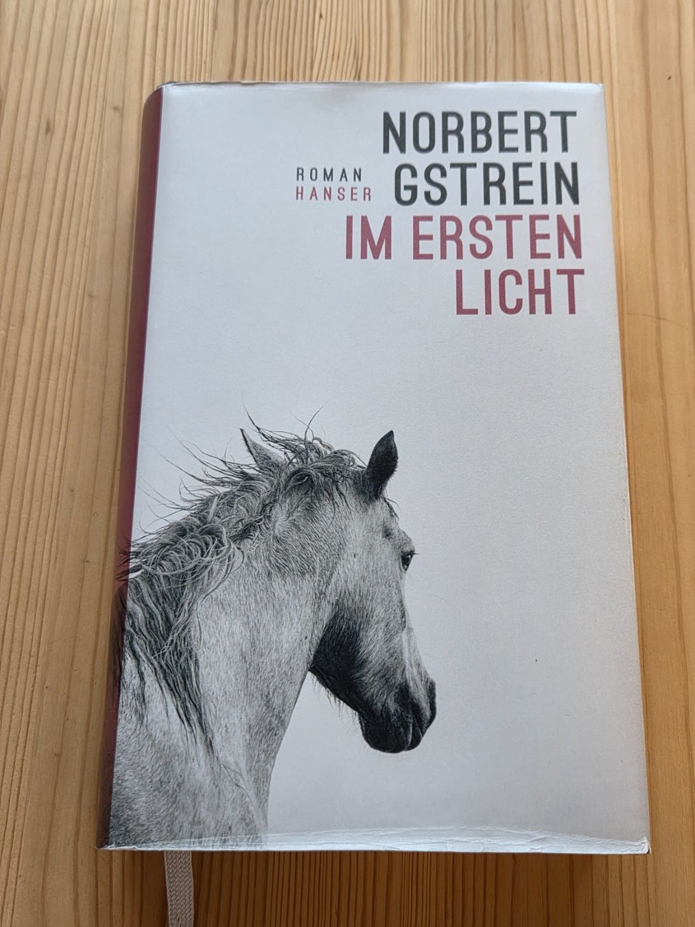Bücher: Im ersten Licht, Norbert Gstrein – Gebraucht aus Liestal von ITOlio