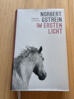 Im ersten Licht, Norbert Gstrein
