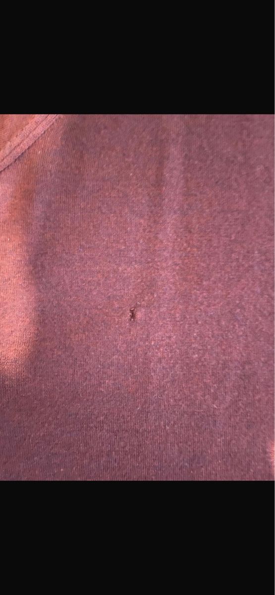 Lacoste Pullover & Sweatshirts: Lacoste Herren V-Ausschnitt Pullover, Grösse L, Top Zustand! – Gebraucht aus Rüti ZH von Mjohnny7 2