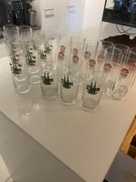 Kölsch Gläser 24 Stk