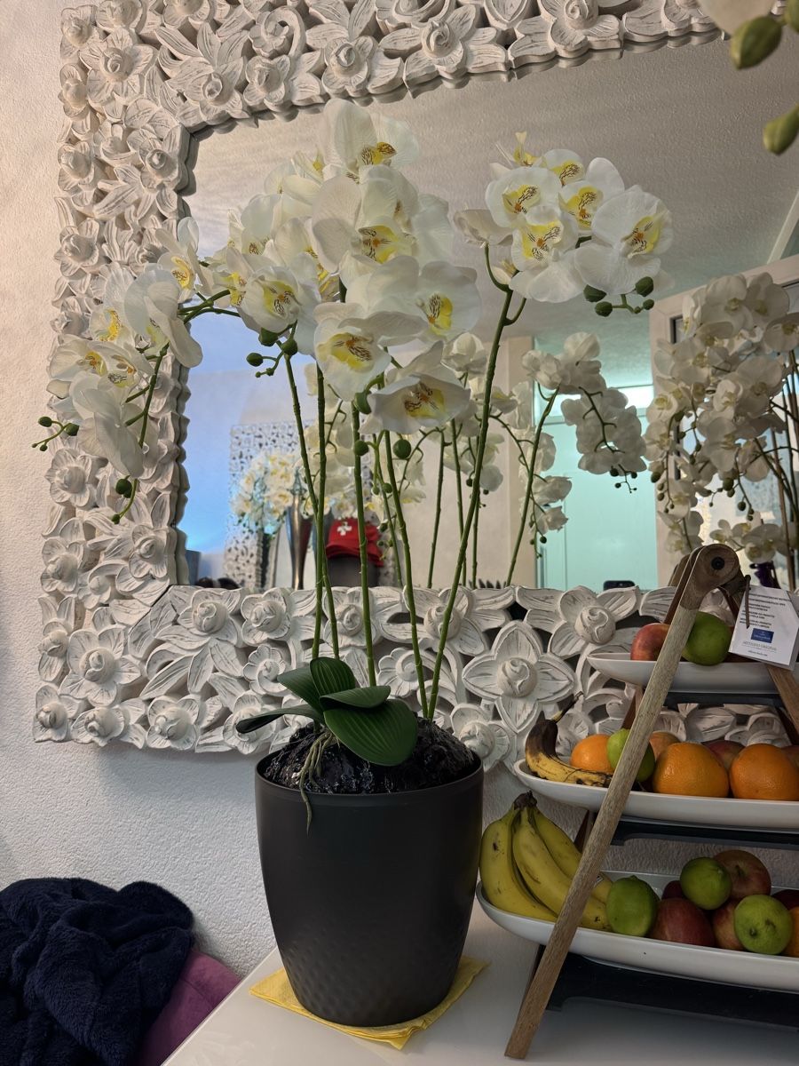 Tutte le decorazioni: Künstliche  Orchideen – Nuovo (secondo la descrizione) da Zürich venduto da Privat4444 2