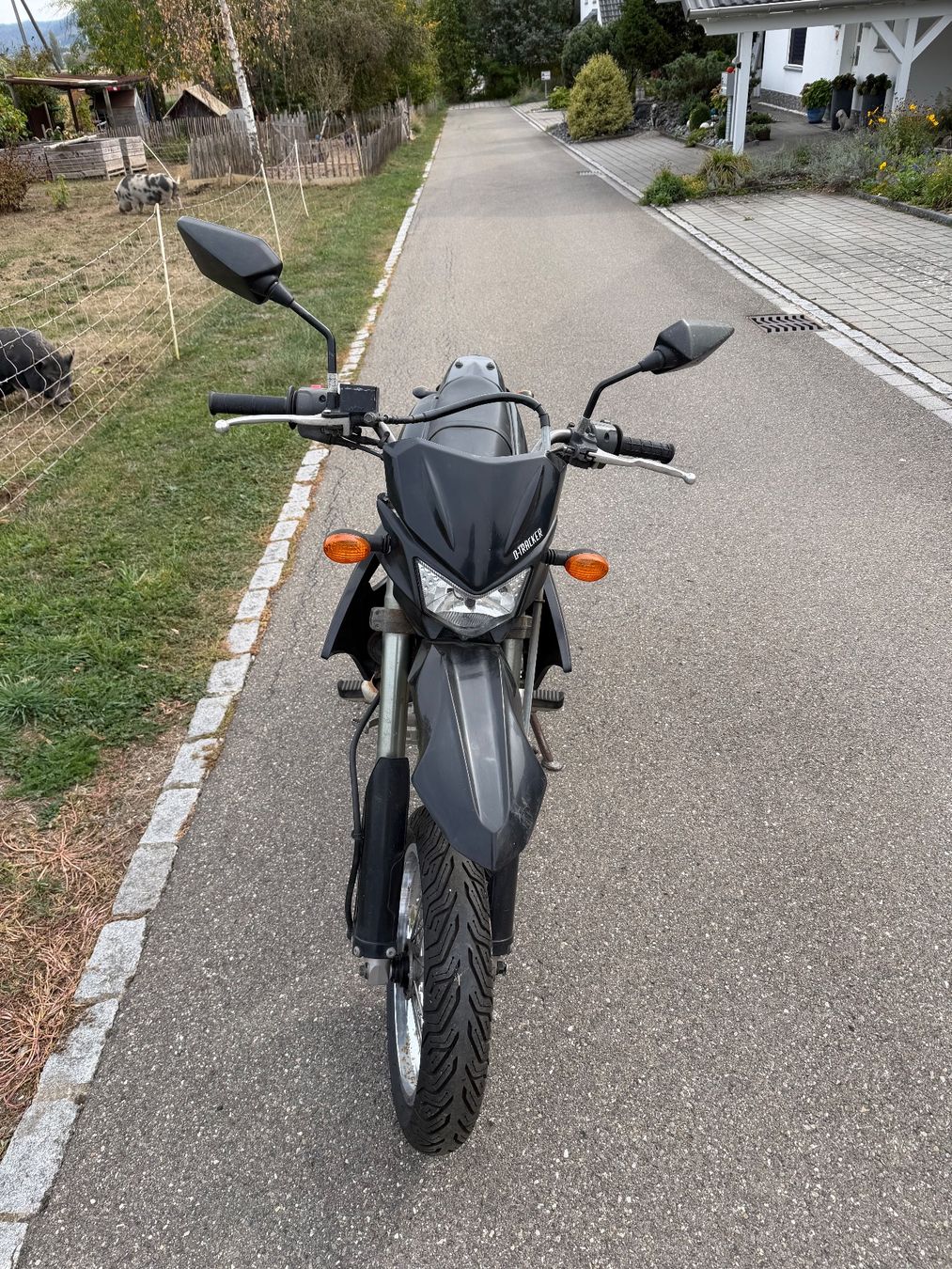 Kawasaki Strada: Kawasaki D-Tacker – Usato da Hallau venduto da jan_dzn5