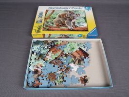 RAVENSBURGER Koalabär Puzzle