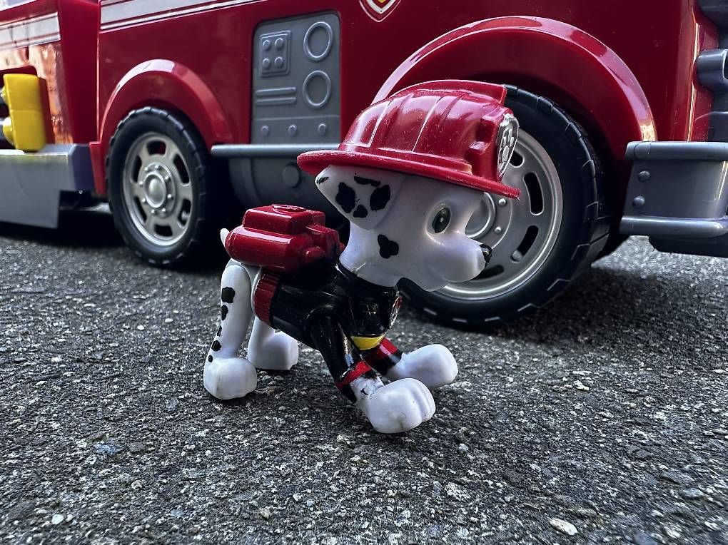 Jouets: Paw Patrol Marshall Feuerwehrauto – D'occasion à Luzern par Birchermesli 1