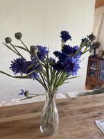 Kornblumen