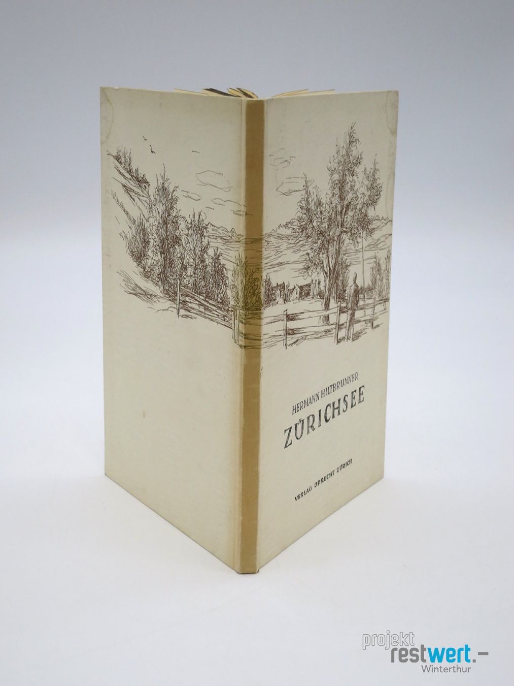 Livres: HERMANNHILTBRUNNER / Zürichsee – Défectueux à Winterthur par Restwert_Winterthur 2