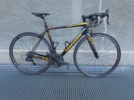 Rennvelo: Guerciotti Eureka SX50 mit Campagnolo Chorus
