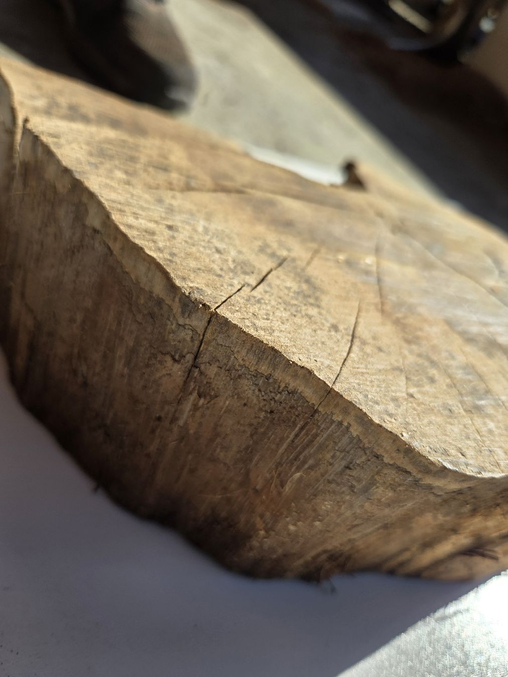Articoli in legno: Nussbaum Baumscheibe / Holzscheibe rustikal – ca. 28 cm – Nuovo e nell'imballaggio originale da Muttenz venduto da Candro99 6