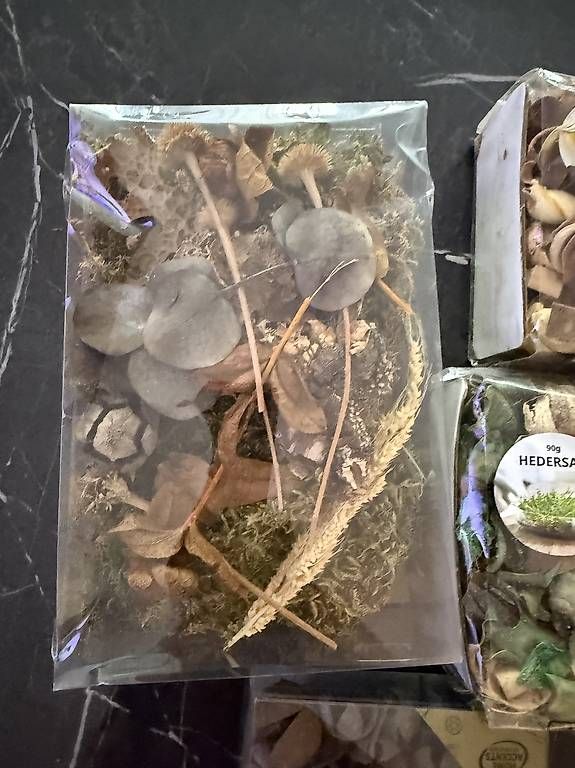 Tutte le decorazioni: DEKORATIVE TROCKENPFLANZEN-PACKUNGEN – Usato da Winterthur venduto da fij_f65r 3