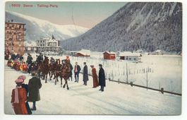DAVOS Tailing Party Pferde-Schlitten