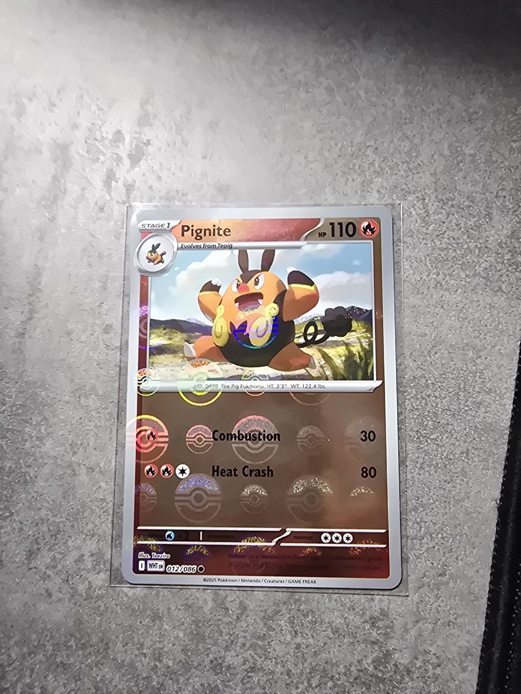 Pokémon Carte collezionabili: Pignite Pokeball WHT 012/086 – Nuovo e nell'imballaggio originale da Fully venduto da MrGabriel