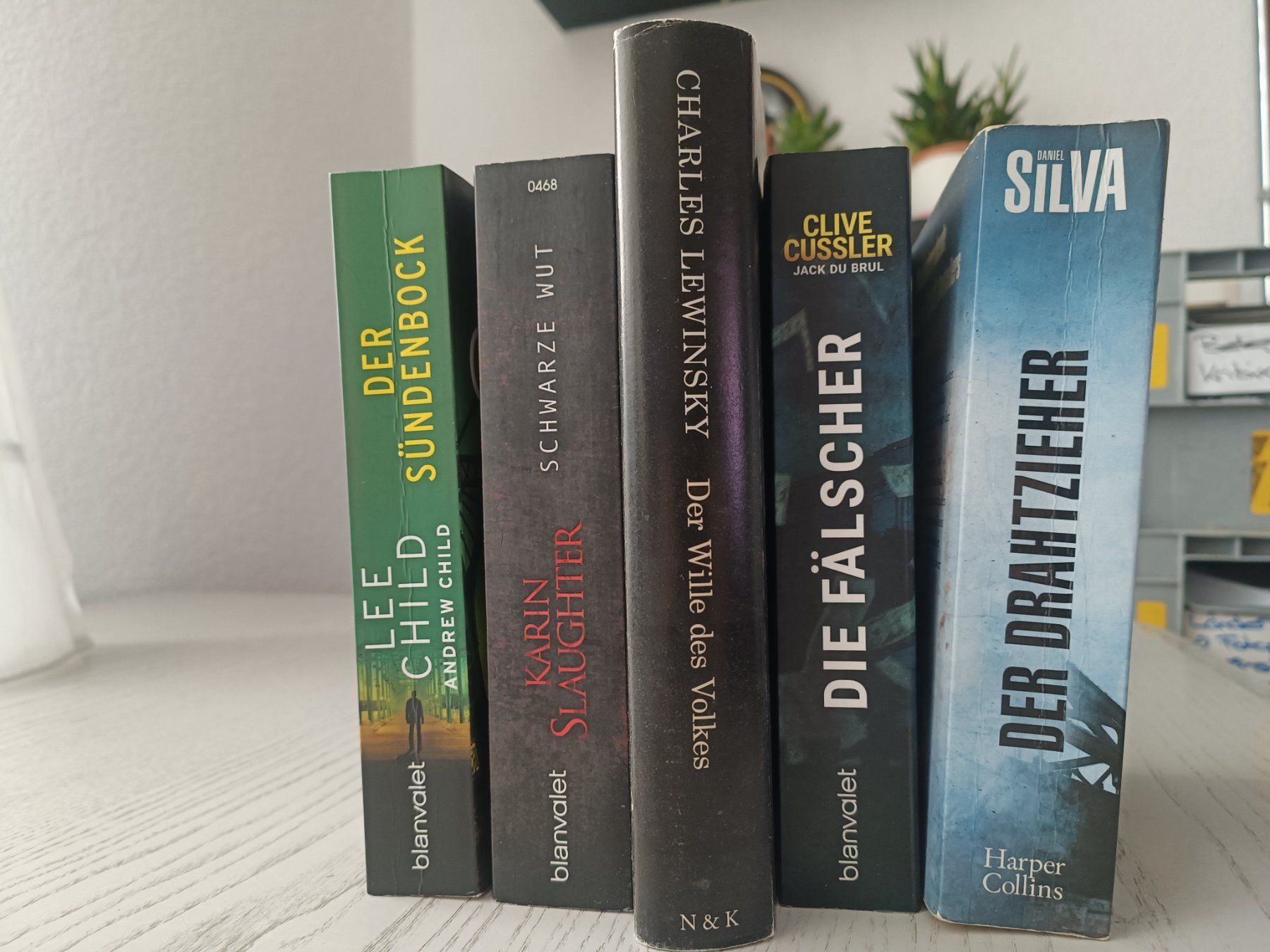 Libri: Krimi und Thriller Packet – Usato da Dübendorf venduto da goeggi79