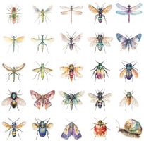 50 Aufkleber Sticker - Insekten