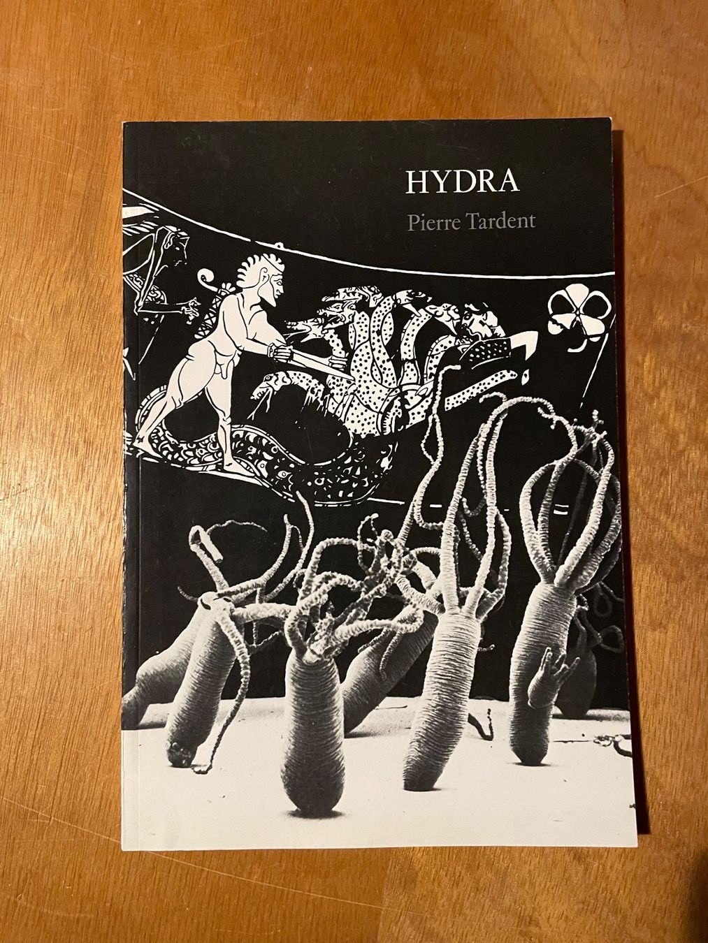 Bücher: Tardent. Hydra – Gebraucht aus Zürich von WWehrle