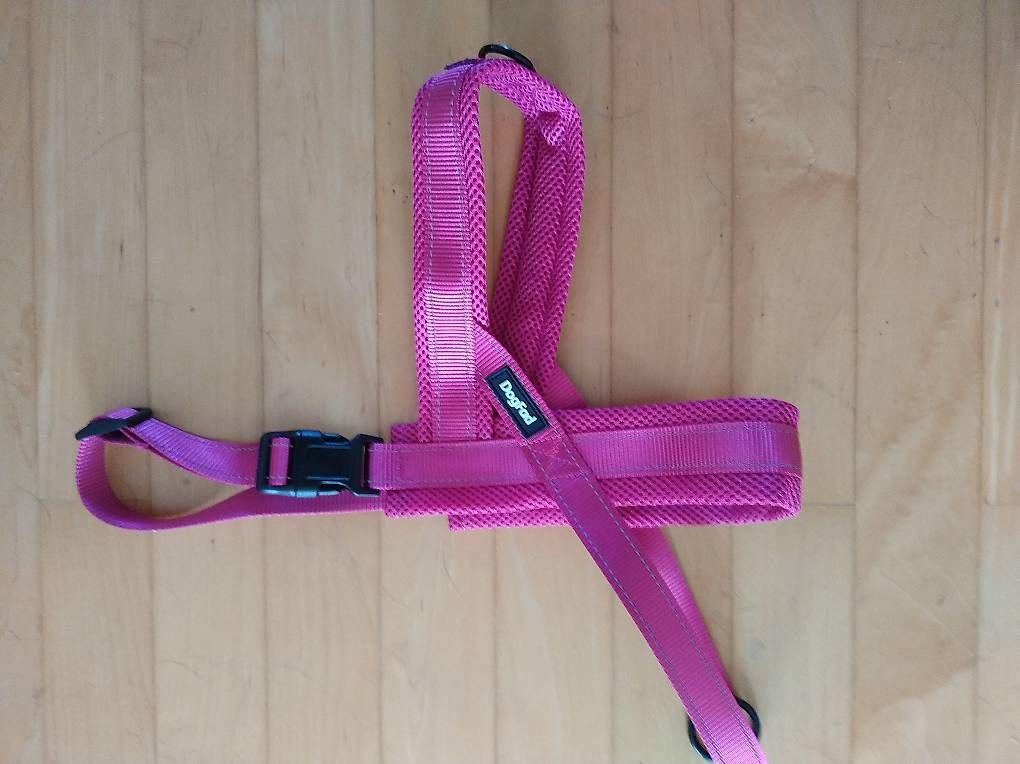 Leine & Halsband: Hundegeschirr  – Neu und originalverpackt aus Hettlingen von Sylvia24 2