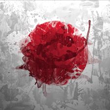 Profile image of JapaneseCollection