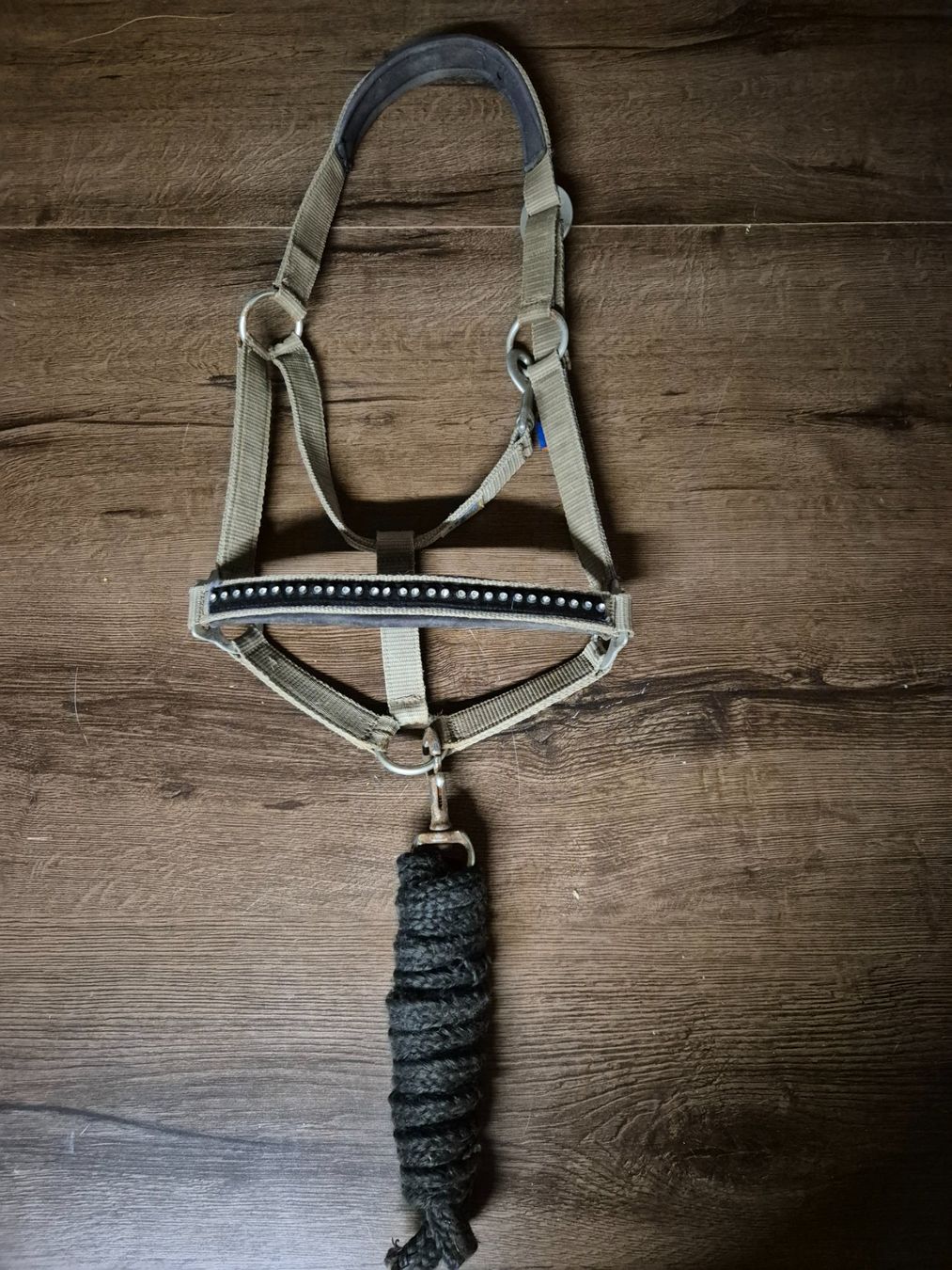 Brides, licols: Halfter Cob – D'occasion à Meggen par Orrinka20
