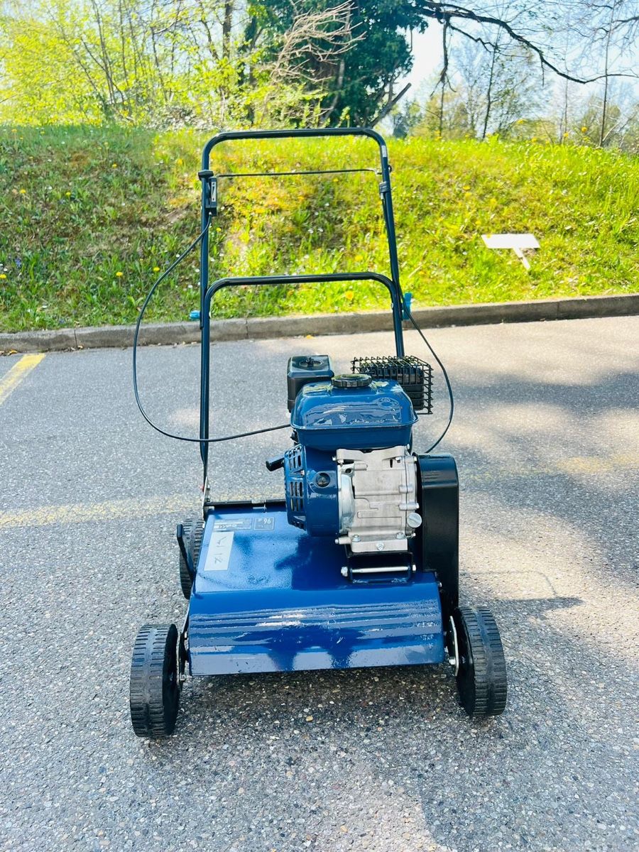 Attrezzi per la lavorazione del suolo: Vertikutierer Profi – Usato da Urdorf venduto da mas_5wfz 1