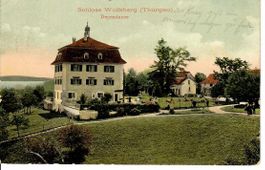 Schloss Wolfsberg 1908 - Stabstempel