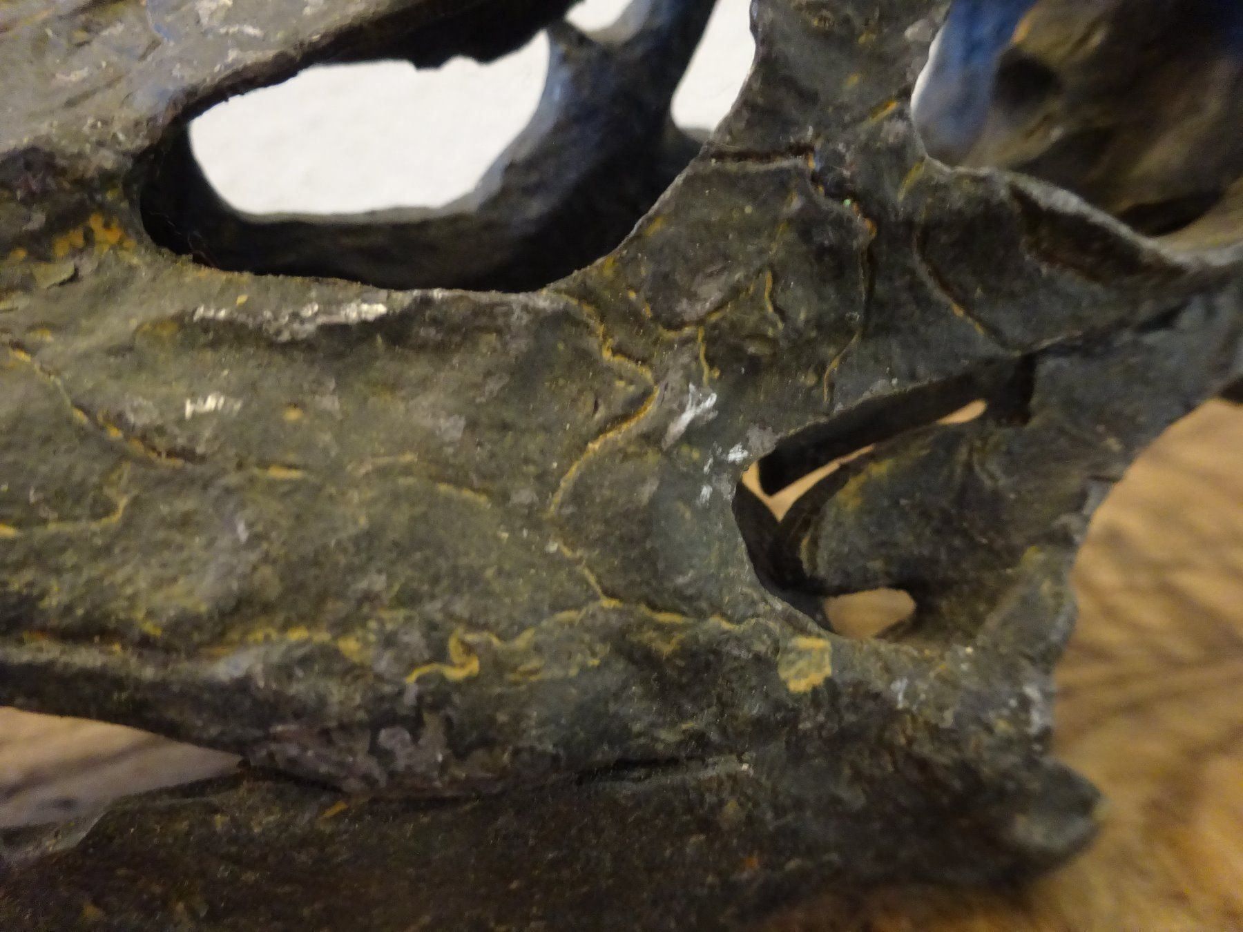 Fossili: Schädel Saurier – Usato da Esslingen venduto da eintagammeer 5