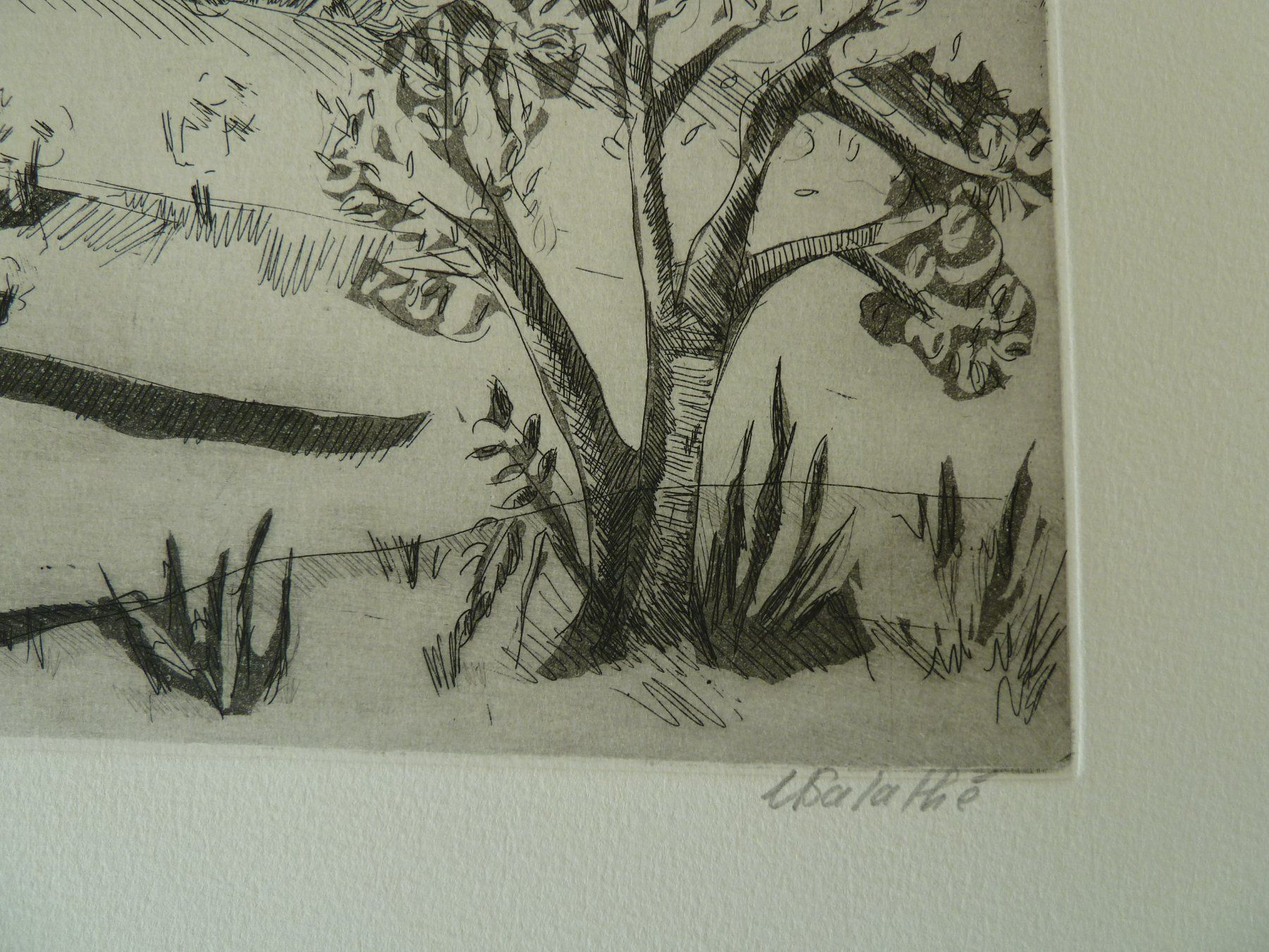 Grafica & Litografie: Salathé Ursula - Druck – Nuovo (secondo la descrizione) da Muri b. Bern venduto da Amelie4 5