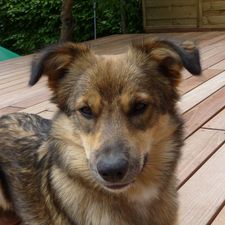 Profile image of Frisbee2