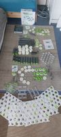 GraviTrax 2 Starter Sets inkl. Erweiterungen