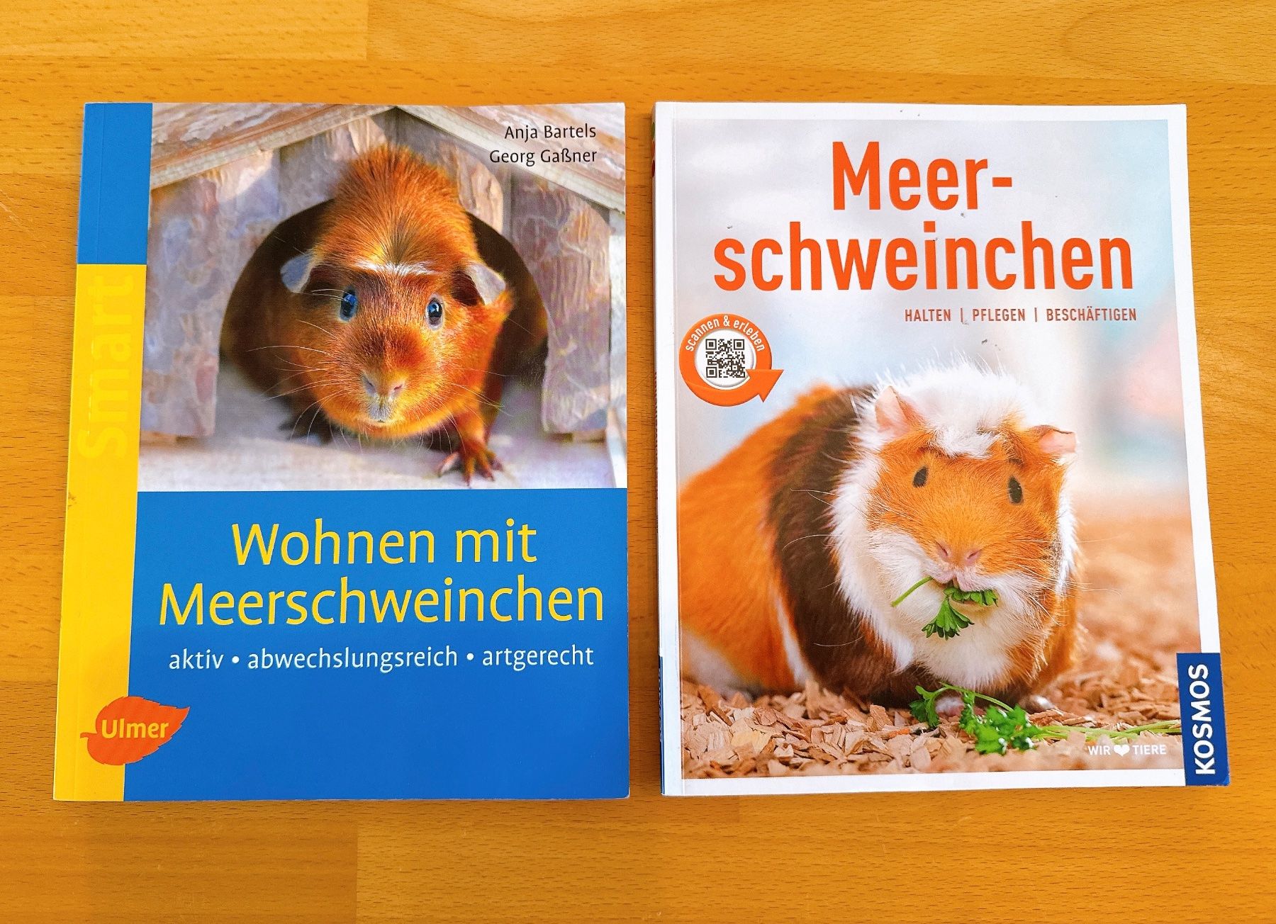Bücher: 2 Meerschweinchen Bücher "Wohnen" & "Halten" – Gebraucht aus Muttenz von denise06