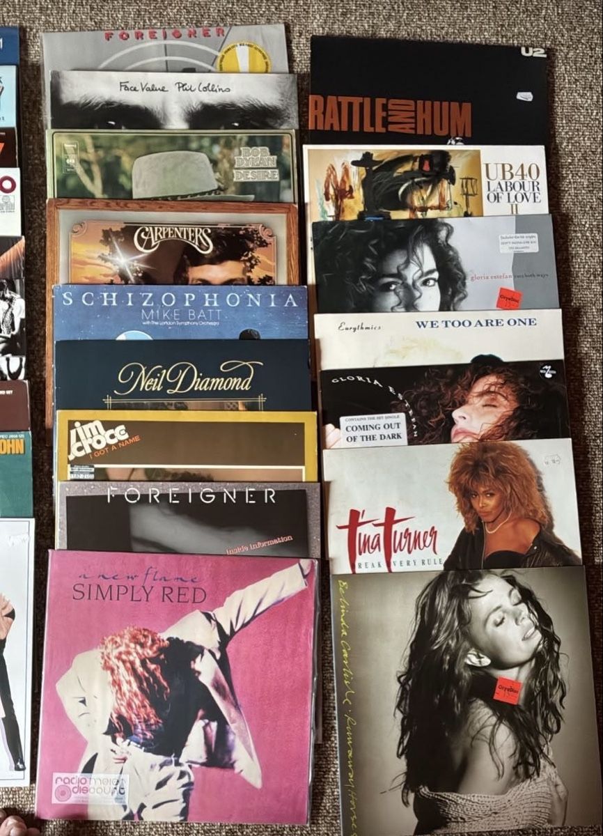 Dischi in vinile: Vinyl Musik Sammlung – Usato da Brütten venduto da Andrea009 3