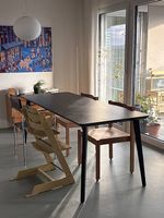 IKEA LISABO Esstisch 200 × 80 cm - schwarz