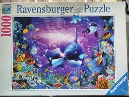 Ravensburger Puzzle -1000 pieces