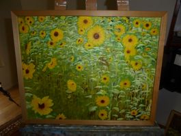 Gemälde Sonnenblumen mit Holzrahmen guter Zustand