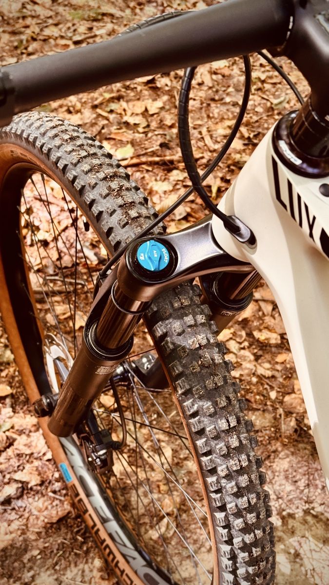 Canyon Velos: Canyon Lux Trail Gr. L – Neu (gemäss Beschreibung) aus Bern von Huskill 7