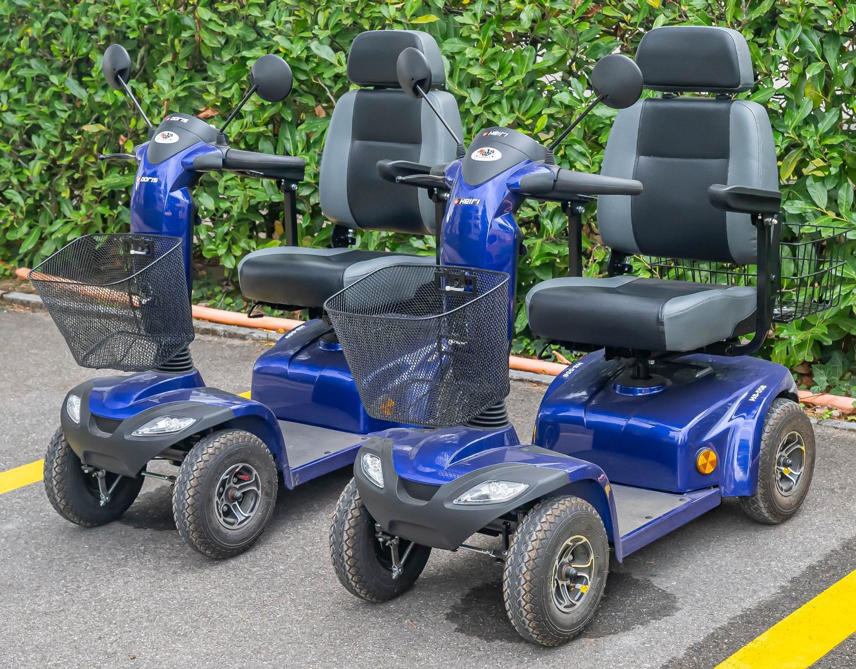 Veicoli elettrici: Elektromobil Landi HS-588 – Usato da Baar venduto da Heirib