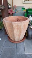 Blumentopf Terrakotta mit Untersetzer guter Zustand 