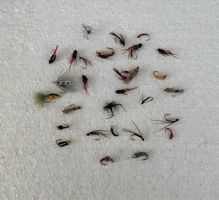 30Stück verschidne Fliege  und Nymphen