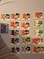 Panini WM 2022 Sammelkarten Set 20 Stück guter Zustand