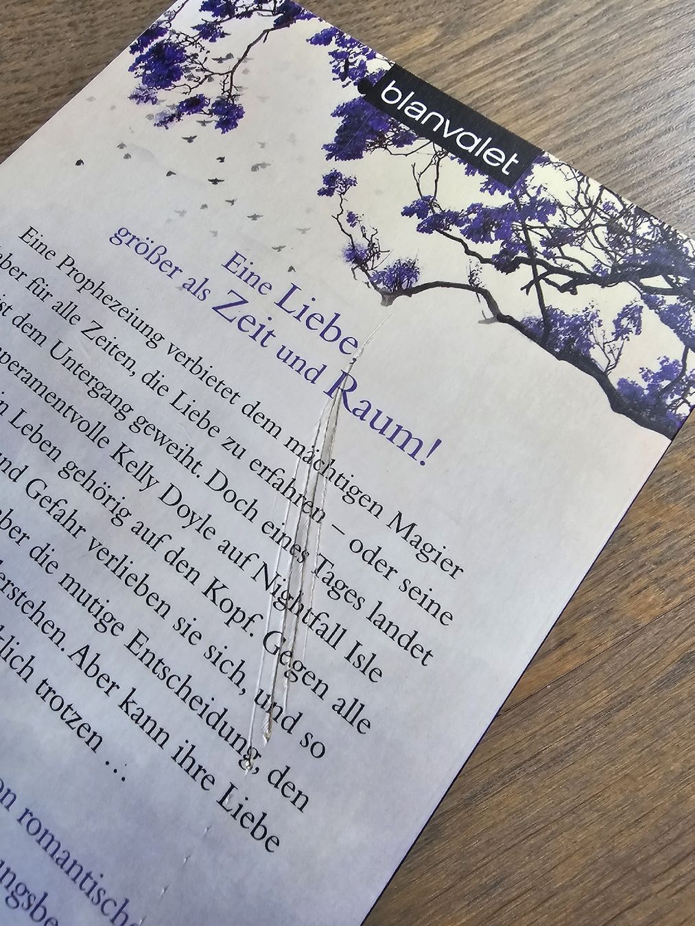 Libri: Die Söhne der Insel - Jean Johnson – Usato da Hinterforst venduto da impatiently 4