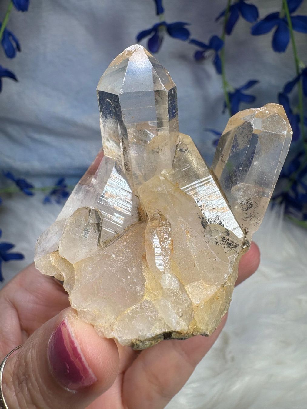 Minerali & Pietre curative: Laotischer Clear Quartz Cluster – Nuovo (secondo la descrizione) da Neuheim venduto da m.hald 8
