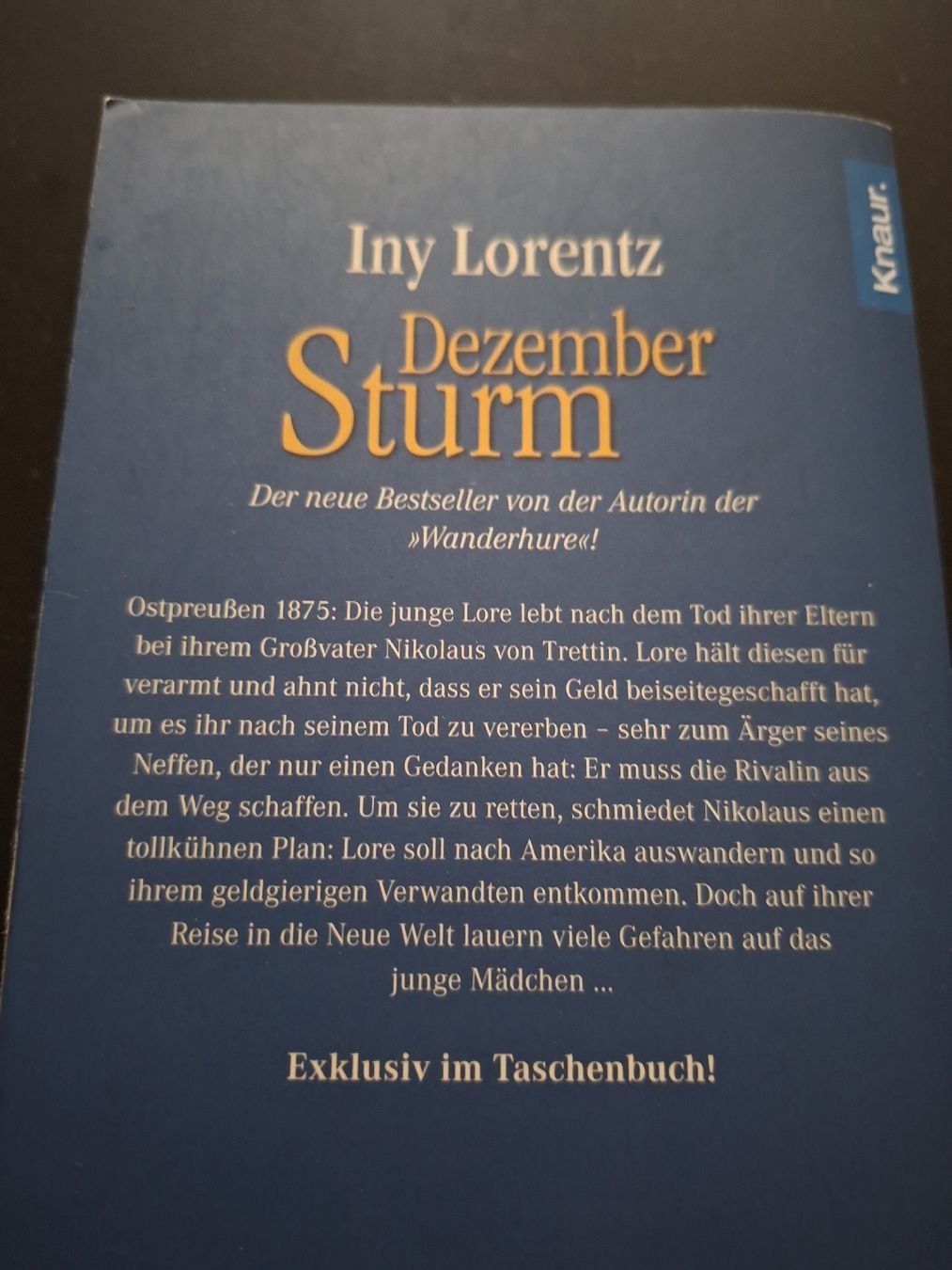 Libri: Iny Lorenz, Dezember Sturm, Taschenbuch  – Usato da Grindelwald venduto da carro5 1