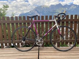 Mondia Rennrad lila/weiss Rahmengrösse L gebraucht