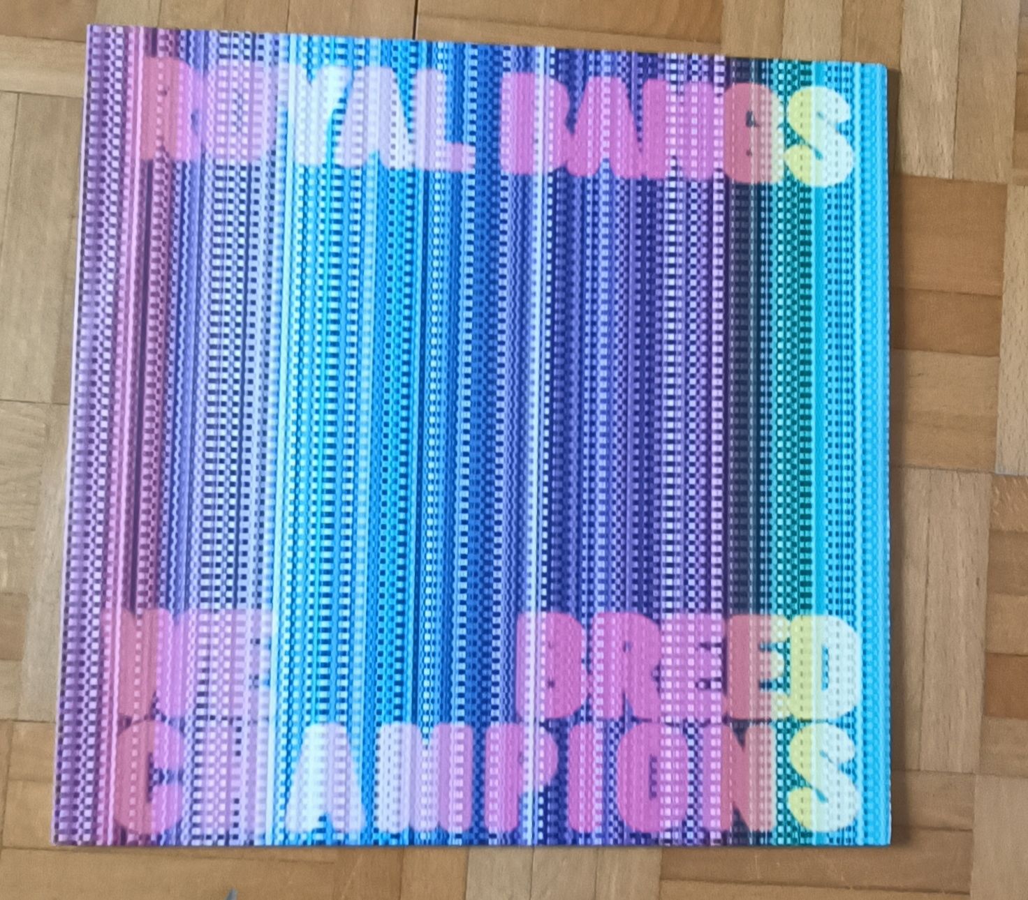 Dischi in vinile: ROYAL BANGS - We breed Champions LP – Usato da Luzern venduto da cryptonic79