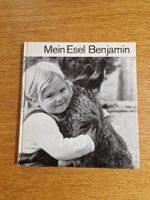 Mein Esel Benjamin