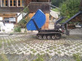 Vermietung Dumper Raupendumper benzin