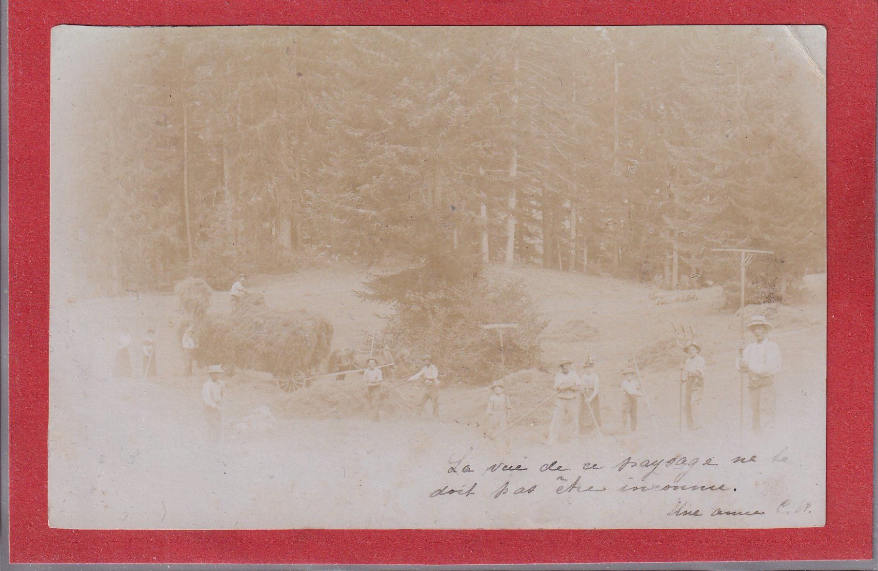 Cartoline postali: Carte photo - Couvet - 1901 – Usato da Orvin venduto da Pyaeschli
