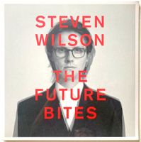 PORCUPINE TREE / STEVEN WILSON - THE FUTURE BITES