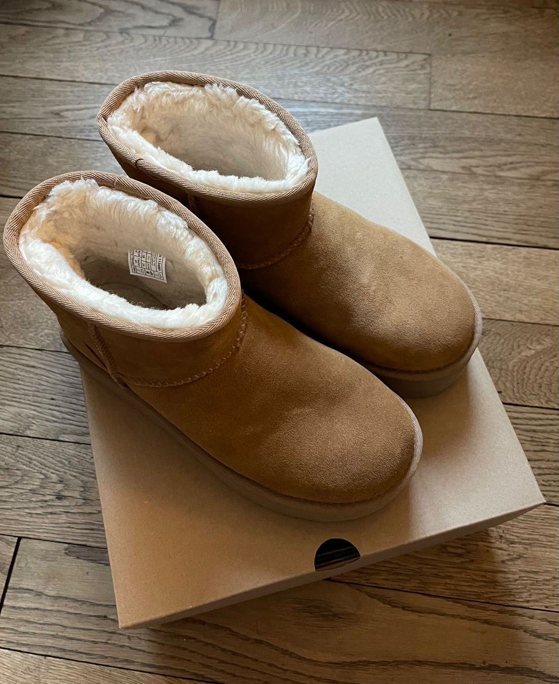 Ugg Scarpe da donna: UGG Classic Mini Platform Boots Chestnut Gr. 38 – Usato da Zürich venduto da ang_65gc