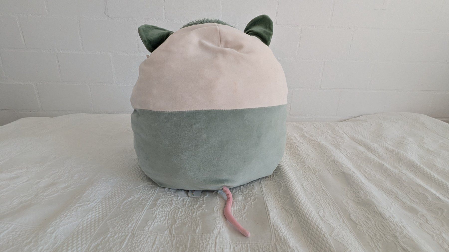 Squishmallows Jouets: Sqishmallows Katze 40cm – D'occasion à Adliswil par bibuubib 1