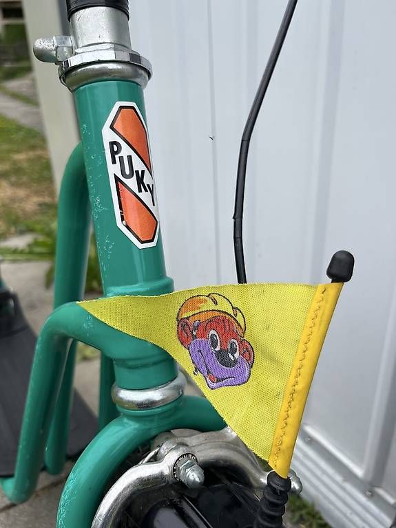 Kickboard: Pucky Trotti-nette/ Roller/ Scooter – Gebraucht aus Zürich von kangi25 4