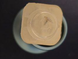 Omega 670 Roue de centre avec chaussée No 1227